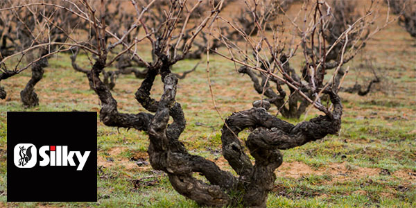 La poda de los árboles frutales